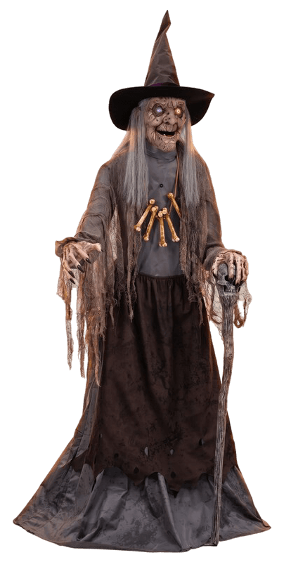 The old mean witch from the dark forest